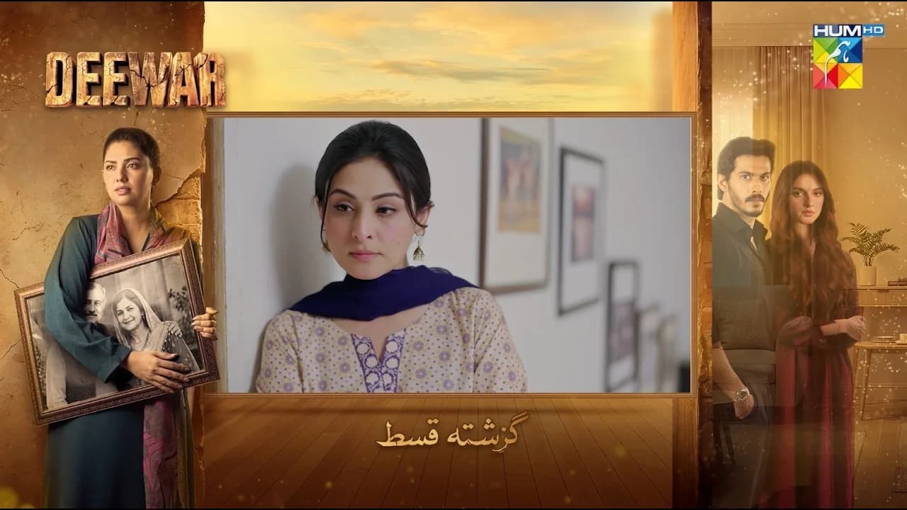 deewar — official HUM TV artwork