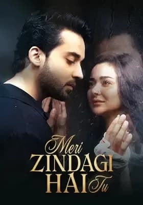Meri Zindagi Hai Tu